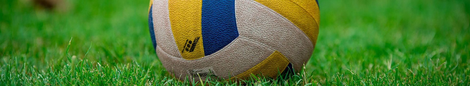 volleyball on grass